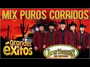 Puros Corridos Chingones Mix de Los Tucanes De Tijuana - Los Tucanes De Tijuana Mix Corridos