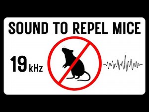 Sound to repel mice | 19kHz ultrasound