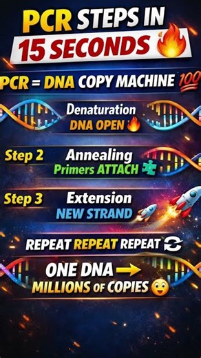PCR Steps in 40 Seconds 🔥