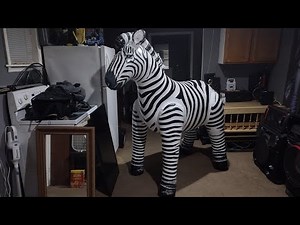 Inflating The IW Inflatable Zebra