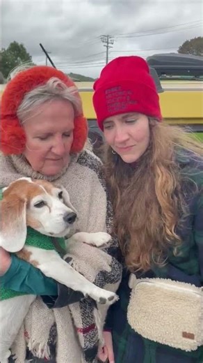 Work Break - Scooter Wins the Nose Wiggling Contest