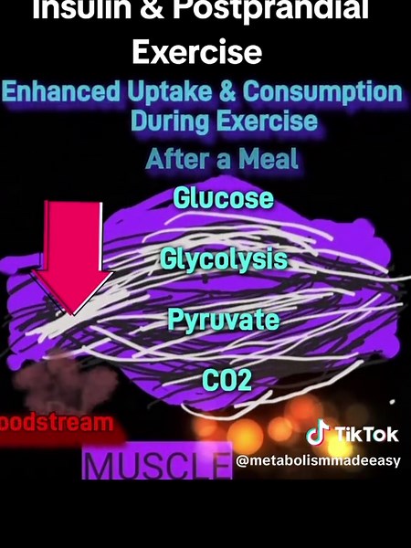 This YouTube video from the