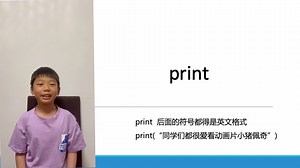 python中的print