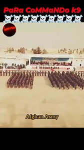 136K views · 12K reactions | #afganistan #specialforces #Commandotraining #short #clip #clipreel #videoviralシ #fbpost2024 | Para Commando | Facebook