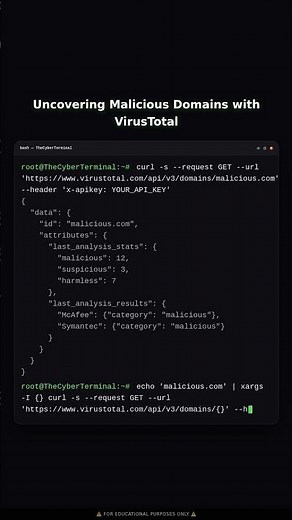 Investigating Malicious Domains with the VirusTotal API