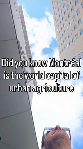 3.6K views · 272 reactions | #letmeshowyouaround #voila #montreal #quickietour #laissezmoivousguider #travel #history #visiteptitevite #architecture #art #urbanagriculture #garden #greenery | MontrealExpert | Facebook