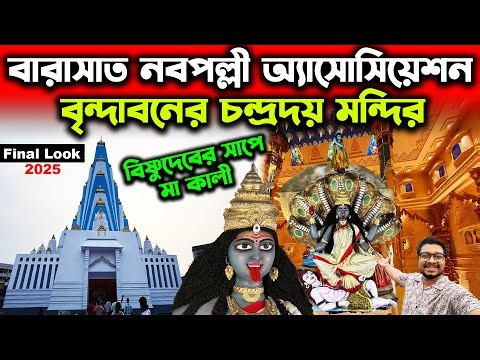 Vrindavan Chandrodaya Temple Pandal Final Look😍Barasat Kali Puja 2025 Nabapally Association Pandal
