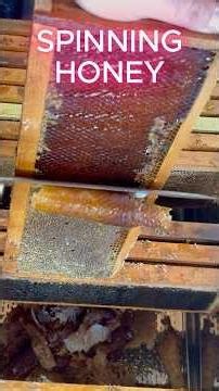 Extracting Honey — Start to Finish