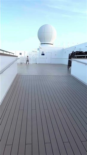 Subí a lo más alto del crucero y vi esto