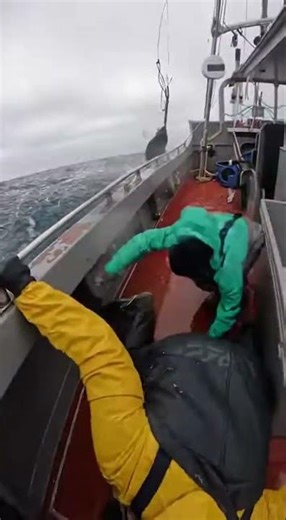Tuna Fish Explode Onto the Boat and Knock a Fishermans Hat Off #FishingLife #OceanCatch #Tuna