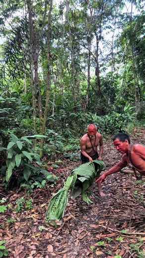Traditional Hunting Practices of Amazonian Tribes