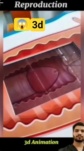 How Fertilization Happens in 3D | Sperm Journey to the Egg Explained (Educational Animation)