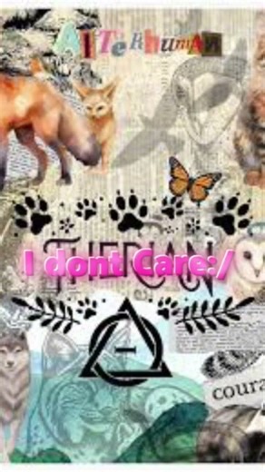 Entropy lyrics #lyrics