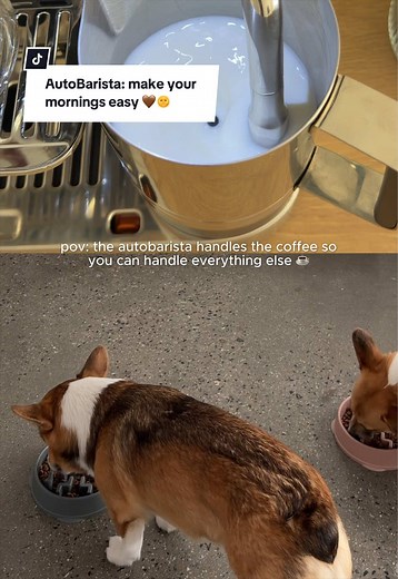 Ninja AutoBarista: Easy Mornings with One Button