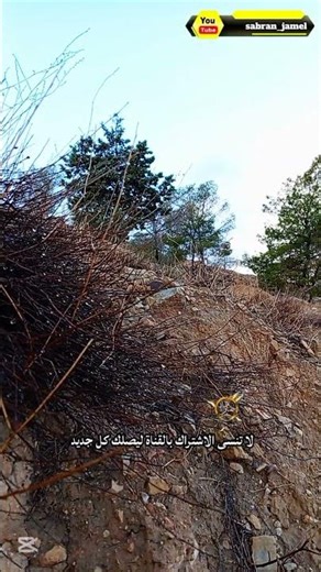 مغامرة وادي عربة | شاي على الجمر ومناظر جبلية خلابة #travel #nature