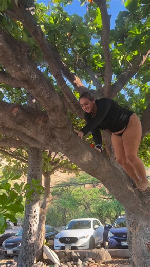 2.8K views · 38 reactions | In wetsuits.. and scuba gear.. and in the sand.. man were we sweating at the end of this藍.......#scuba #scubadiving #scubatrend #scubareels #hawaii #oahu #oahuhawaii | Aaron's Dive Shop | Facebook