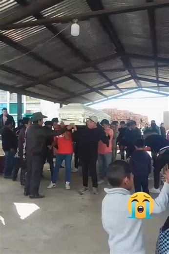 Videos de Ahinoam Guarcax (@ahinoam.guarcax) con “som original - clovmsc”