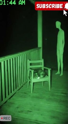 Is this an alien?👽🛸 Comment your thoughts.😱👁️#foryou #shorts #scry #horror #ghost #top10horror