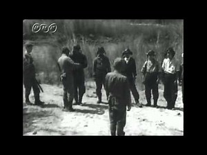 第232号 神風特別攻撃隊敷島隊