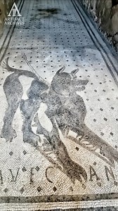 2,000-Year-Old “Beware of Dog” Sign from Ancient Pompeii Long before modern warning signs, the Romans had a clever way to keep visitors in check. At the entrance to the House of the Tragic Poet in Pompeii, a striking mosaic depicts a black dog on guard, accompanied by the words “Cave canem” “Beware of the dog.” Created nearly 2,000 years ago, this blend of art, humor, and household protection survived the eruption of Mount Vesuvius in 79 AD. A timeless reminder that some instincts, like keeping 