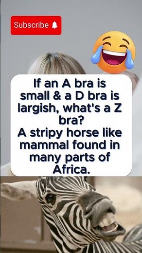 What is a Z-Bra size? 🦓👙