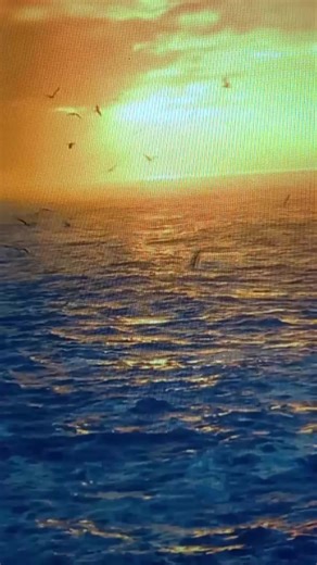 bading (@jinjer.rpm)’s videos with som original - QRcode