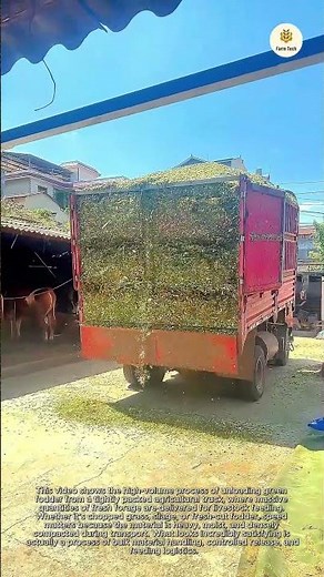 The Most Satisfying Way to Empty a Stuffed Truck: High-Volume Green Fodder Delivery Process