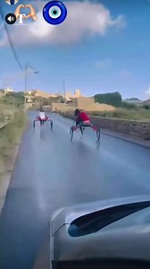 Police are investigating a video showing two men racing horses on Triq it-Tiġrija in Rabat, a public road where racing is illegal. The footage, filmed from inside a car, shows the men whipping the horses as vehicles pass in the opposite lane. Read the full story on timesofmalta.com | Times of Malta