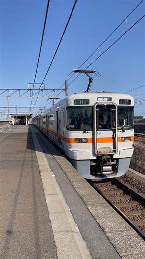 東海旅客鉄道株式会社313系大高駅通過!! #鉄道 #電車 #train #railway #高速通過 #jr東海 #313系