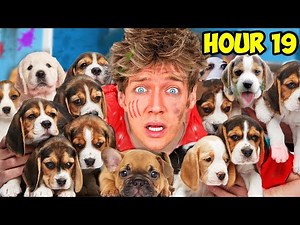 Surviving As Dog Parents For 24 Hours!! World’s Cutest Animals Control Our Lives *$100,000 Damage!*