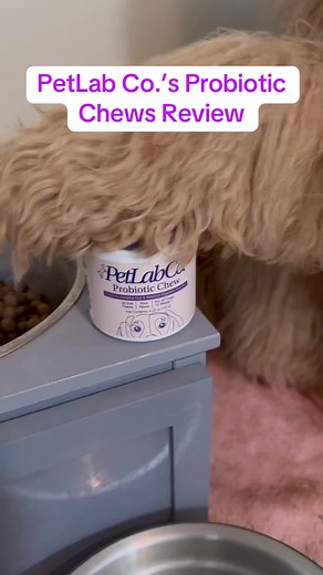 PetLab Co. Probiotic Chews for Dogs - Review