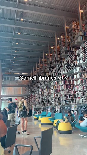 Exploring Cornell Libraries: A Student's Experience
