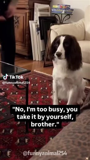 #cutedogs #viral #fyp #doglover #dog