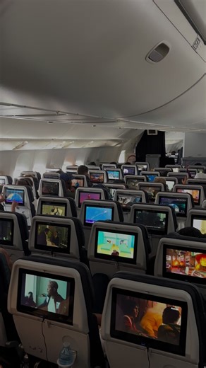 #plane | zig and sharko