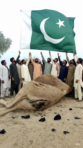 یہ رہے آپ کی کہانی کے مطابق تین بڑے اور خوبصورت عربی ٹائٹلز 👇