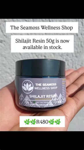 Exploring Sea Moss Benefits for Wellness