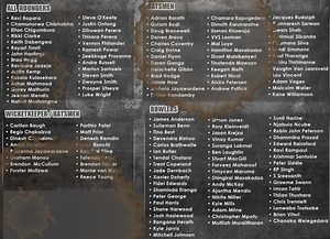 The updated 2012 IPL auction list