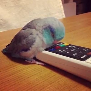 49K views · 788 reactions | Creative Videos on Reels | Facebook