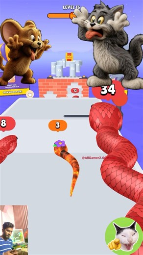 Tom+ jeri 😨Snake Run Race (Lv 16 +17 Lv) 100% Win🐍snakegameplay Snake calas