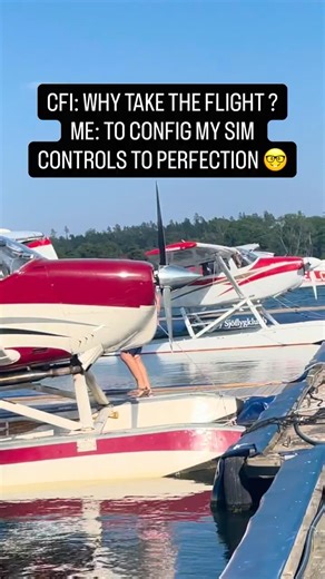 FLEW TO CONFIG MY SIM FLIGHT CONTROLS TO PERFECTION #aviation #flight #racing #simulator #flightsim