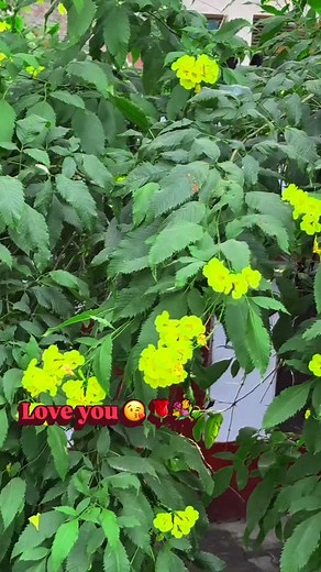 234K views · 79K reactions | किया तुम्हें पता है ❤️#trendingreels #viralreels #explore #foryou 殺❤️#please follow me सभी | Santoshi Rajput | Facebook