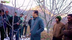 32K views · 1K reactions | ✂️ Apple Pruning Tips – step by step samjhaaya gaya hai simple aur practical tareeke se!  Seekhiye kaise pruning se badhaaye fruit quality, tree health aur yield.  Har kisan ke liye must-watch guide!  . . . . . #ApplePruning #SmartFarming #FruitFarming #KisanGuide #OrchardCare #AgriTips #Farmers #khetibadi | KhetYari | Facebook