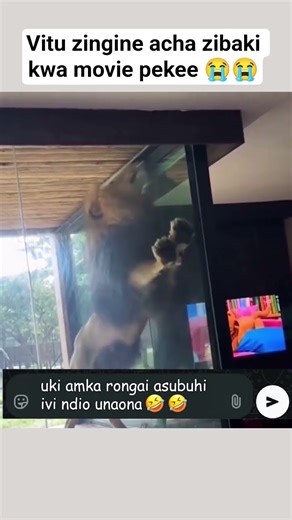 KEVIN'S SUNDAY MEME MARATHON 😁😅 (Pasua kicheko!!!)