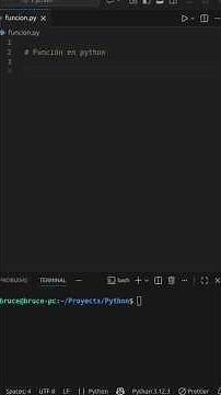 ¿Qué es una función en Python?