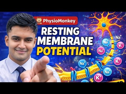 Sodium–Potassium Pump Explained | Resting Membrane Potential | Physiology | Physiotherapy