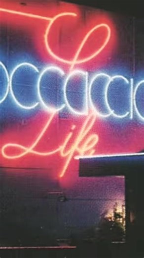 Boccaccio Nights 👍💙❤️🇧🇪🎵 #boccaccio #belgique #belgium #bocca #boccacciolife