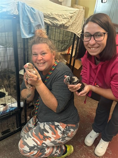 1.4K views · 42 reactions | Trifecta is the premier establishment. From boarding to daycare, training, and grooming, we are here to cater to all your needs. Our staff consistently exceeds expectations in any situation. We treat your pets with the same care and dedication as we would our own. I couldn't be prouder of our staff and their ability to handle any situation. Proud of our Trifecta family | Trifecta Kennels | Facebook