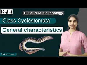 Class Cyclostomata || general characteristics || In Hindi || B. Sc. & M. Sc. || Zoology
