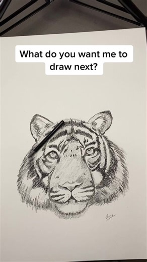 Reply to @hegrakhaled Tutorial: how to draw a tiger #Artist #smallbusiness #artistoftiktok #foryoupage #tutorial #arttutorial #drawingprocess #tiger #howtodrawatiger