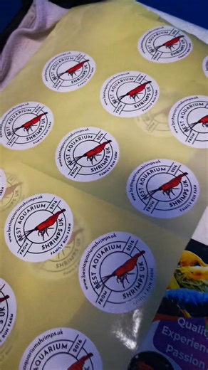 2.8K views · 46 reactions | Did you know ? At Best Aquarium Shrimps...